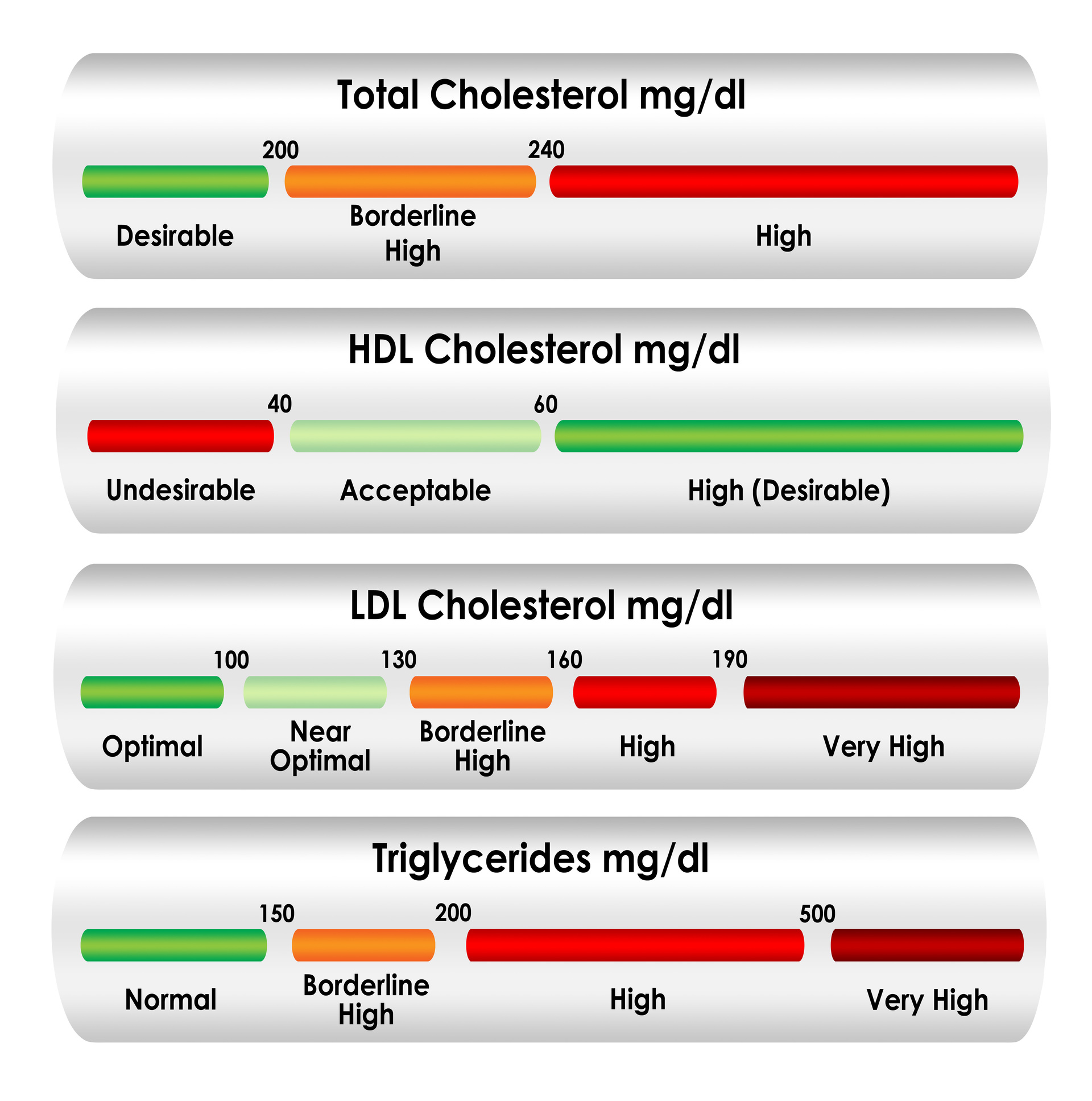Cholesterol Level Chart - Pooler GA